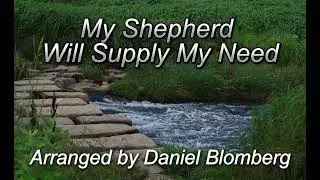 MY SHEPHERD WILL SUPPLY MY NEED | Advanced piano solo by Daniel Blomberg | Official Audio