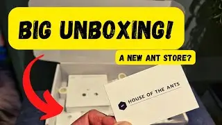 A new ant-store? Unboxing ALL of their products!