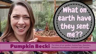 Carnivorous Plant Haul Unboxing - Triffid Nurseries