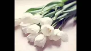 سورة المؤمنون بقراءة شيخ قراء لبنان: محمود عكاوي