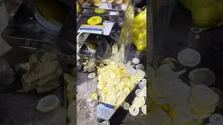 Multipurpose lemon slice cutting machine | Punjab engineering  +91 74892 41187