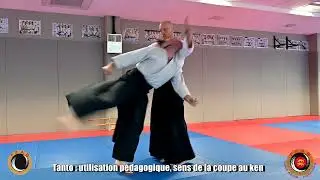 Aïkido : Jean-François Fabre 6è Dan et Cédric Chort 5è Dan, EDC Normandie, 18-19 octobre 2025 (9/9)