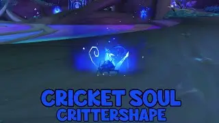 WoW Shadowlands 9.1.5 - Cricket Soul Crittershape | Night Fae