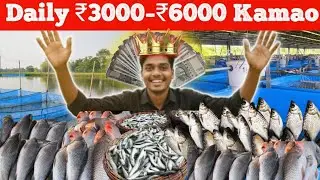 Fish Business Idea For 2026 | Fish Farming & Selling Business | Low Investment High Profit Business