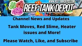 Обновления канала Reef Tank Depot: перемещение аквариума, удаление красных цианобактерий, обновление цикла аквариума и многое другое.