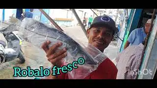 Alvarado veracruz, randu chavez Que viva la pesca