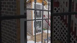 February 2nd walk video to Dan Ryan woods 