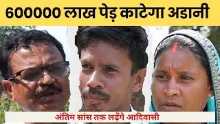 छत्तीसगढ़ में अडानी क्यों काटने जा रहा 600000 लाख पेड़ ? आदिवासियों ने कहा- अंतिम सांस तक लड़ेंगे.