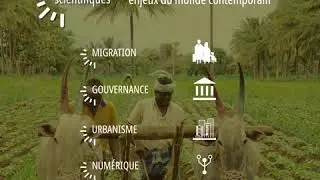 Les instituts de recherche en sciences humaines et sociales &agrave; l&rsquo;&eacute;tranger