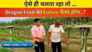 Dragon Fruit का Future कैसा होगा? Arun ने लिया Bittu का Exclusive Interview @arunkhokharpopularkisan