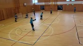 Holtenau Huskies - Rostocker Nasenb&auml;ren 2014