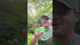 What is &ldquo;succession?&rdquo; #forest #ecology #nature #tree #trees #life #change #forester #short #shorts