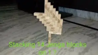 Stacking 14 Jenga blocks on one ?