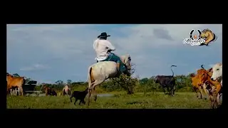 A&ntilde;oranzas De Un Chavita - Alexander Chavita (Video Oficial)