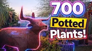 My Home With Joe 🌿 | 700+ Potted Plants Backyard Tour