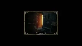 alpha (fury druid) vs wolfbarb (feral rage)