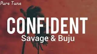 Savage ft Buju - Confident lyrics video