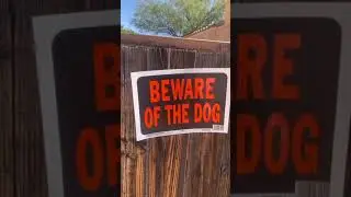 Nigga dog