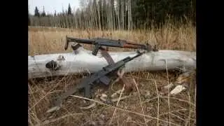 Fall Reeds; Saiga & Underfolder