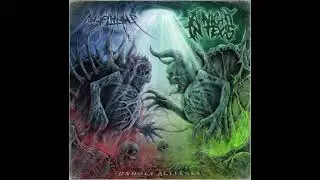A NIGHT IN TEXAS - UNHOLY ALLIANCE (SPLIT EP) // (DEATHCORE) 