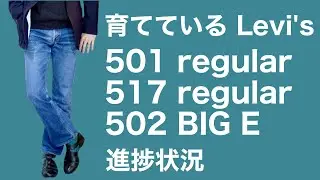 育てているLevi's 進捗状況