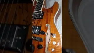 Ollandoc Guitar For sale Sounds Like a Languedoc See our Videos!