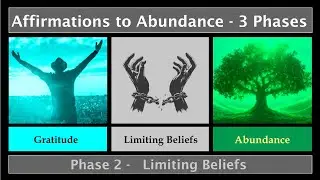 Limiting Beliefs