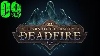 Pillars of Eternity 2 Deadfire #9