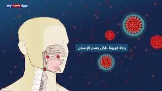 تعرف على دورة إصابة الإنسان بفيروس كورونا