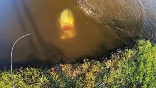 ЛУЧШИЙ ПРУД В GOOGLE EARTH, КОТОРЫЙ Я КОГДА-ЛИБО НАХОДИЛ! (Огромный окунь)