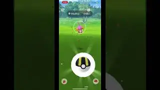 Catch 3 Shiny Mudkip on Community Day 4/10/21 #pokemongoshiny #pokemongo