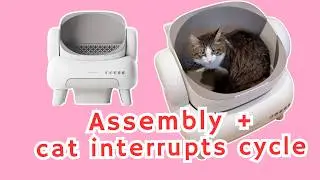 Neakasa M1 Lite In Use + Review:  A Smart Litter Box for Picky Cats?