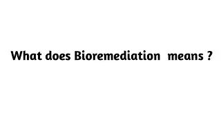What does Bioremediation means ?