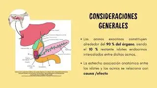 Declaraci&oacute;n de consenso del ACVIM sobre la pancreatitis en gatos / Paula Guerrero - Lucero Leit&oacute;n