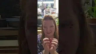 Heart chakra Adventure