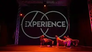 Experience Dance Convention | The Village Dance Collective  performance