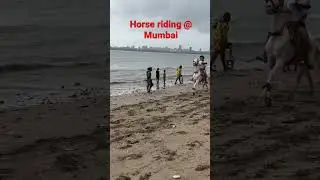 Horse riding @Mumbai #mumbai #horse #horseriding #shorts #beach
