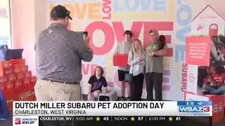 Dutch Miller Subaru pet adoption day