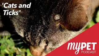 myPET Podcast: Cats and Ticks