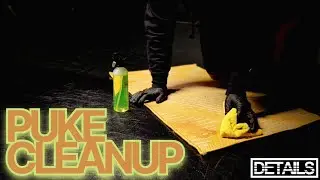 DOG MESS CLEANUP AND STAIN REMOVAL
