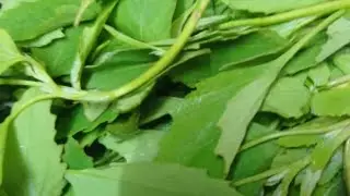 बथुए का रायता रेसिपी बहुत ही आसान तरीके से बनाए#bathuaraita #viral #youtube 