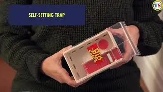 The Big Cheese Poison-Free Mousse Trap | Toolstation