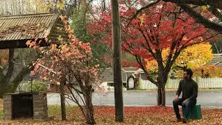 Bright, Victoria , Australia video/ Autumn in Bright video (full video)