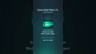 Çıkmaz Sokak Gibisin ( House Mix) - Serkan Esentürk DJ SEES
