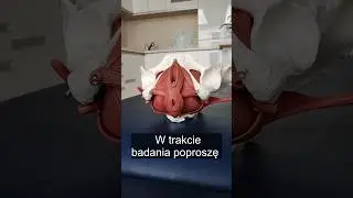 BADANIE WEWNĘTRZNE U FIZJOTERAPEUTY