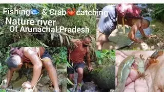 Fish🐠🐬//Crab🦀🦀catching in natural river of Arunachal Pradesh #fishing #crabcatching 