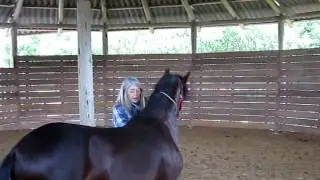 Lucy Rees en Tenjo Cundinamarca 1