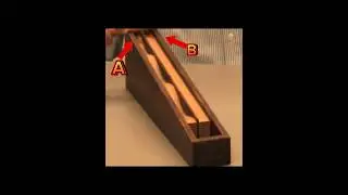 Mind-Bending Physics Challenge: Which Ball Reaches the Bottom First?