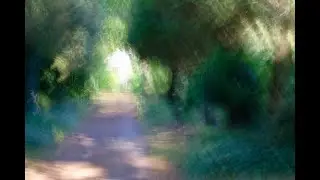 Impressionistische Fotos vom Melaten-Friedhof - Impressionistic Melaten Cemetery - Heiko Friedrichs