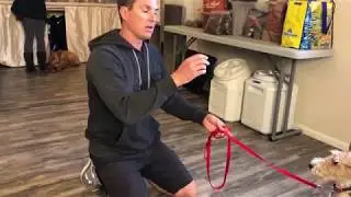 Teaching 